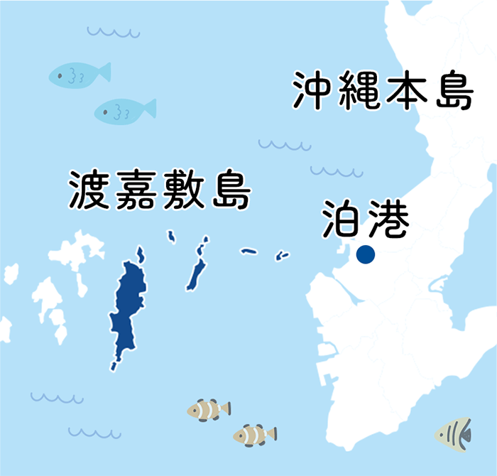 沖縄本島と柏港と渡嘉敷村が表示されている地図。渡嘉敷村が青く塗りつぶされていて、柏港からみてどの位置にあるのか分かる地図。